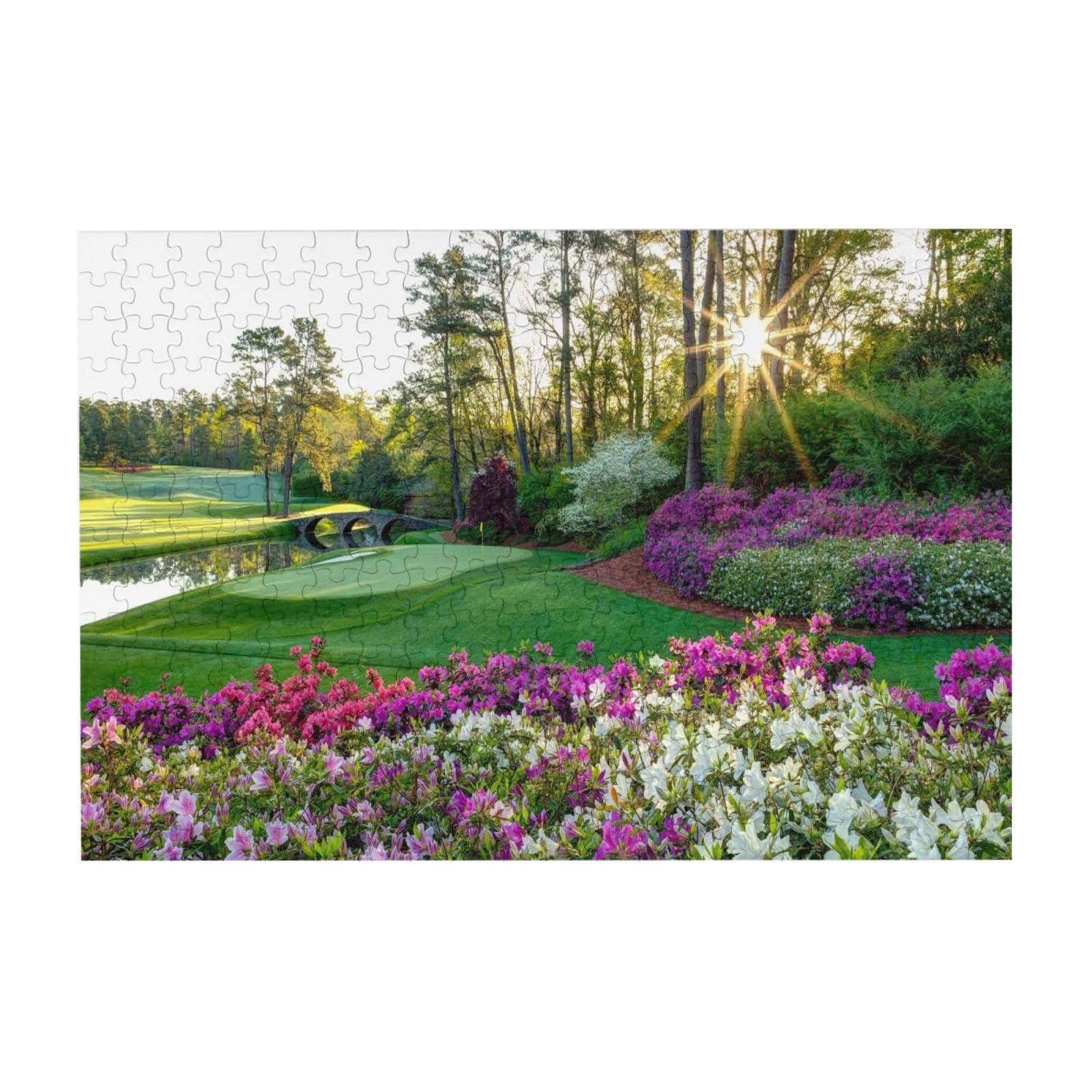 Amazon.com: 1000 Piece Masters Championship National National Golf